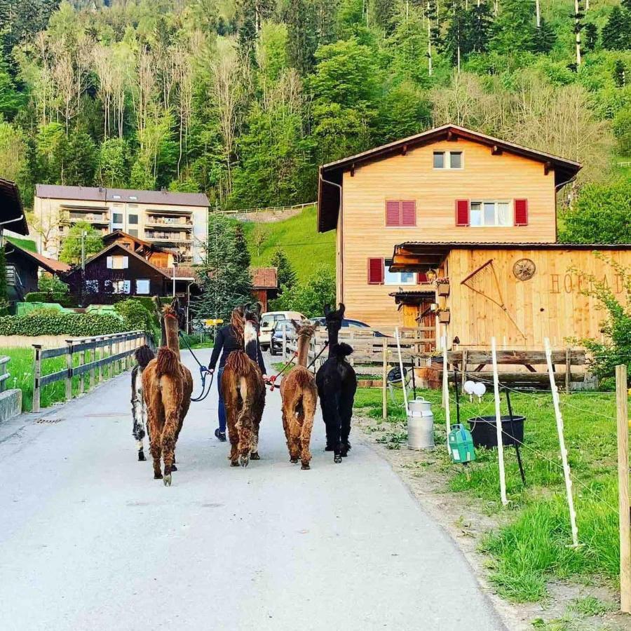 Jurte beim Lama-&Alpakahof Triesenberg Exterior foto