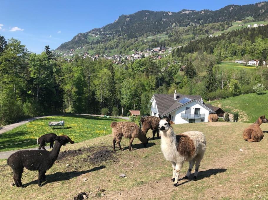 Jurte beim Lama-&Alpakahof Triesenberg Exterior foto